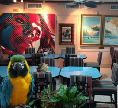 Best Restaurants in Nassau, Bahamas